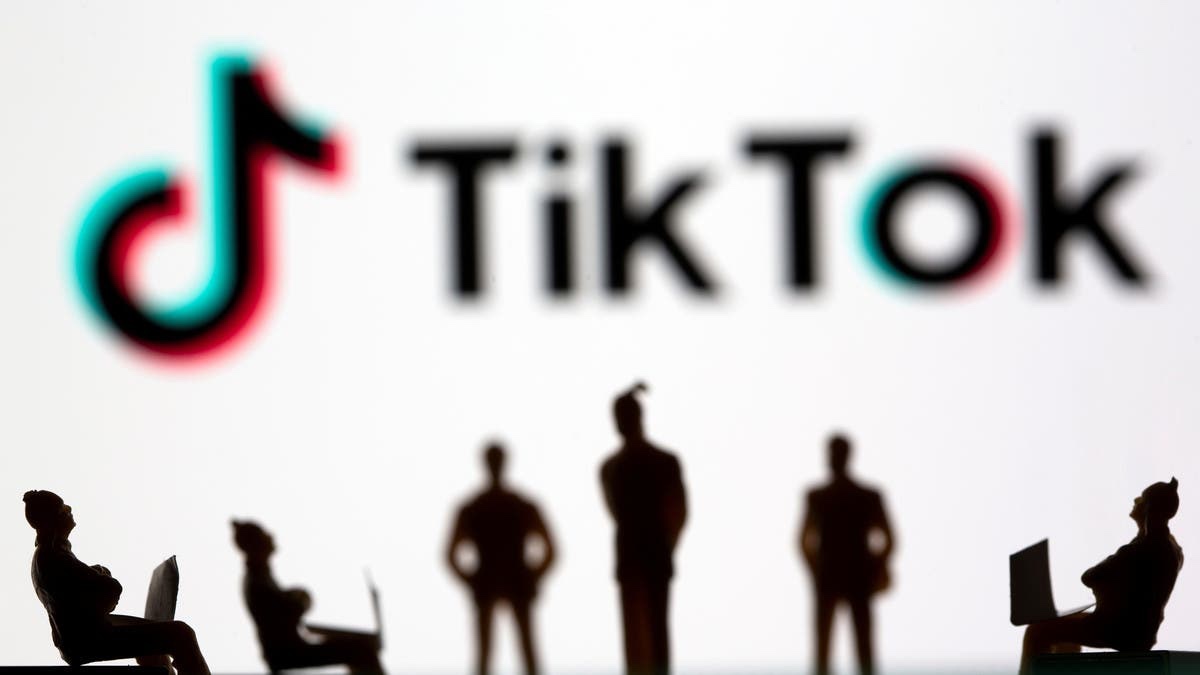 My Journey to Building an Engaged TikTok Following Through IoT&nbsp;Education